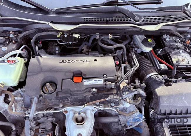 2HGFC2F65KH568544: 43988941