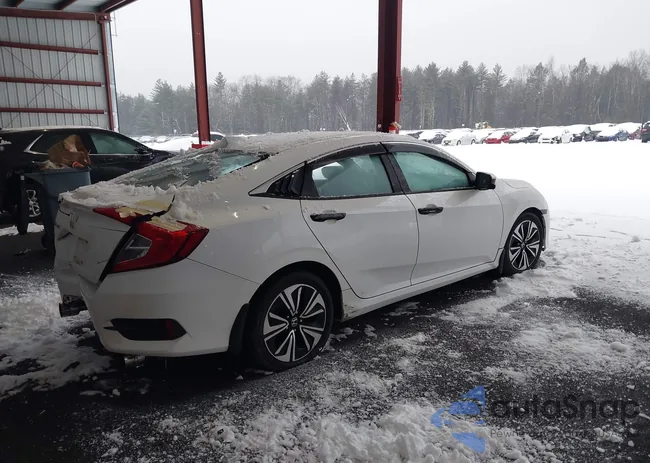 19XFC1F73HE202409: 43989156