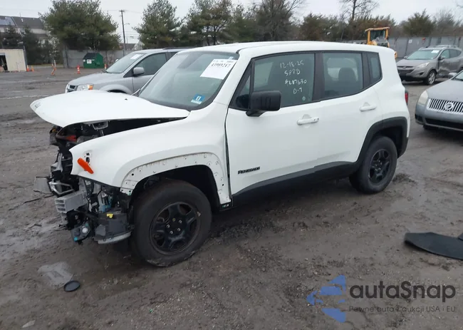 ZACCJBABXJPH12520: 43989217