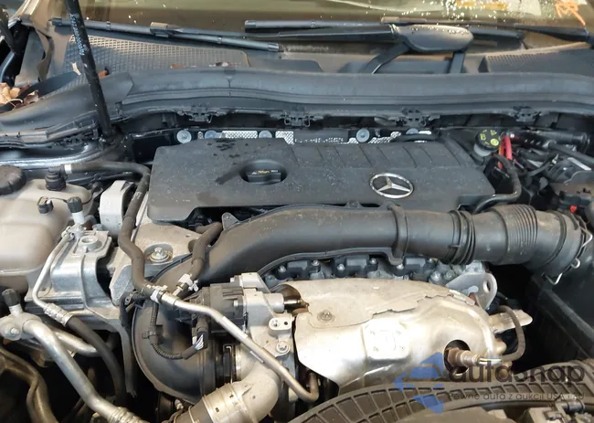 W1N4N4HB8NJ402827: 43988503