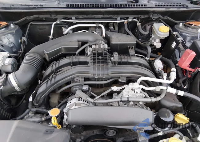 JF2GTAMC5JH306843: 43988646