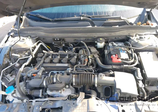 1HGCV1F11JA141127: 43989772