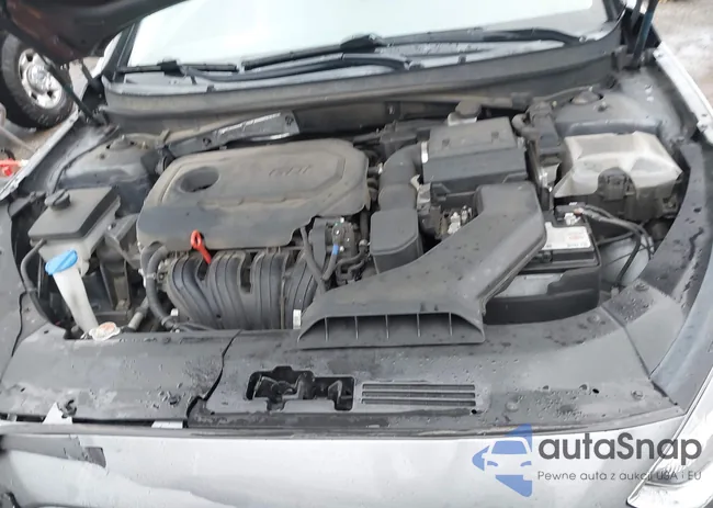 5NPE24AF0KH730961: 43990109