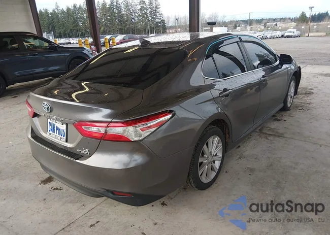 4T1C31AK4LU538851: 43990181