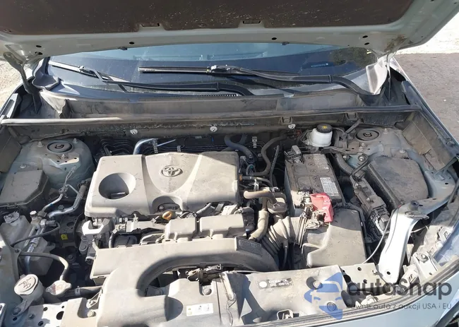 2T3W1RFV0MW180595: 43990257