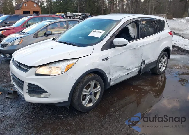 1FMCU9GX3EUC86365: 43989542