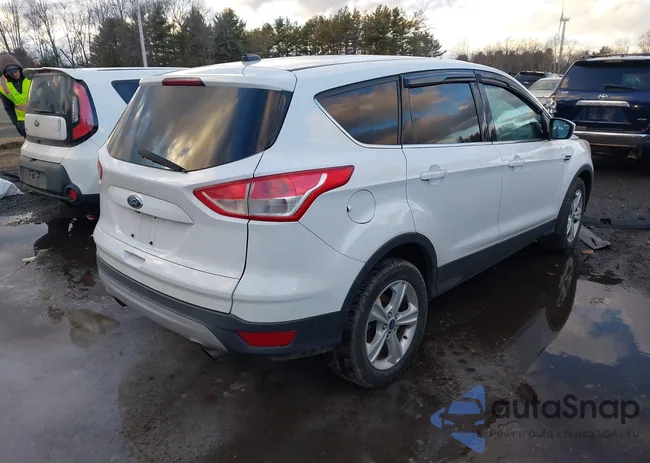 1FMCU9GX3EUC86365: 43989542