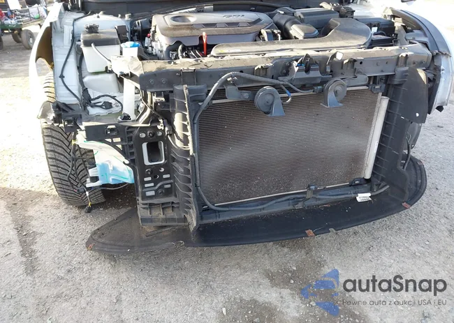 5NPE24AF0FH244589: 43989582