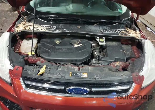 1FMCU9J97FUC02477: 43989586