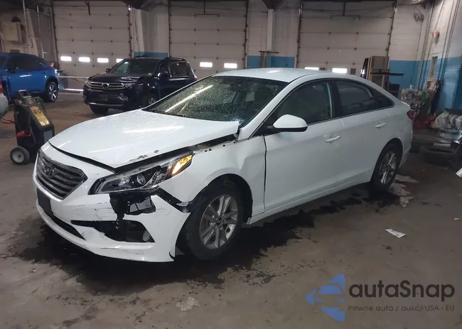 5NPE24AF9HH563346: 43990872