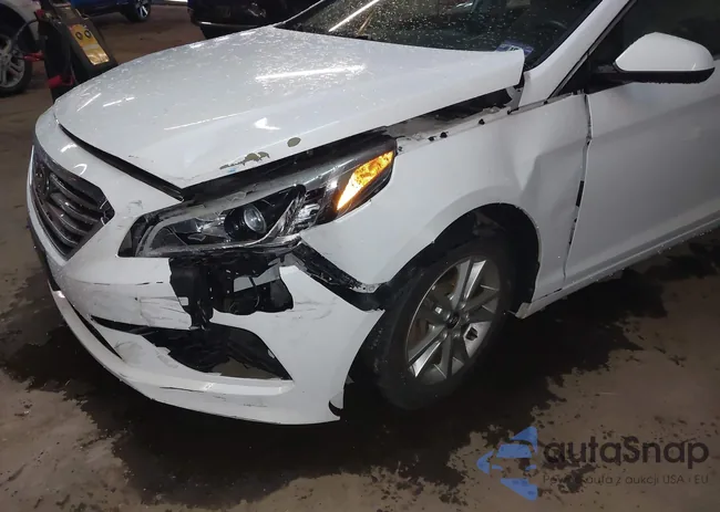 5NPE24AF9HH563346: 43990872