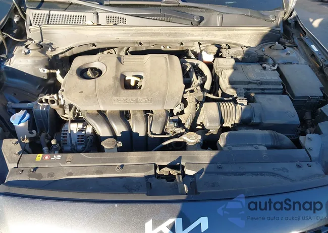 3KPF54AD9PE638771: 43991118