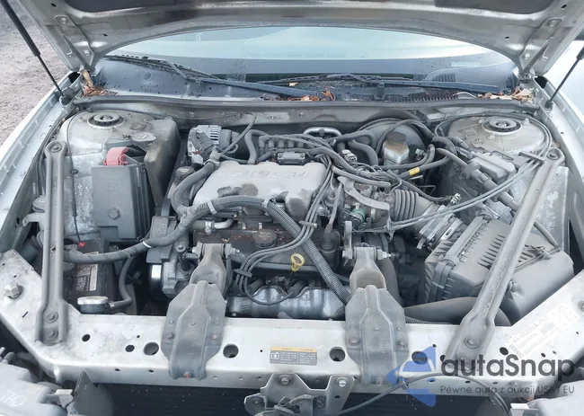 2G4WS52J631196182: 43991788