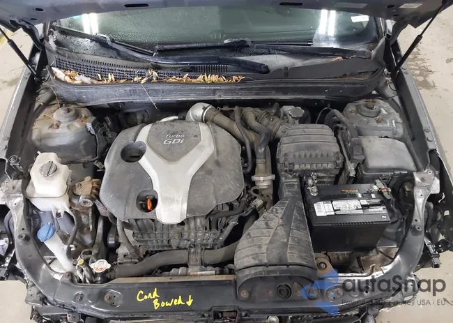 5NPEC4AB6DH767154: 43992215