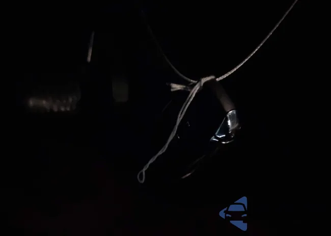 3LN6L5A97HR622694: 43992257