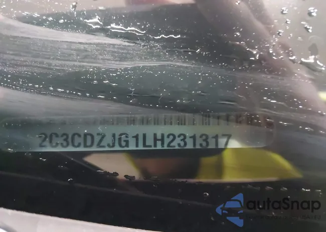 2C3CDZJG1LH231317: 43992276