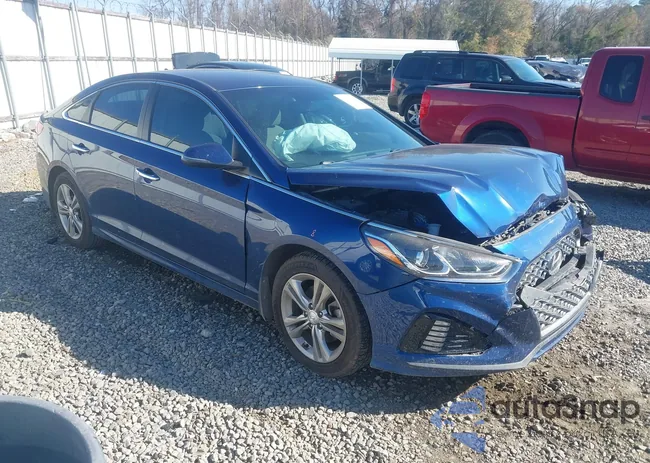 5NPE34AF4KH813807: 43991353