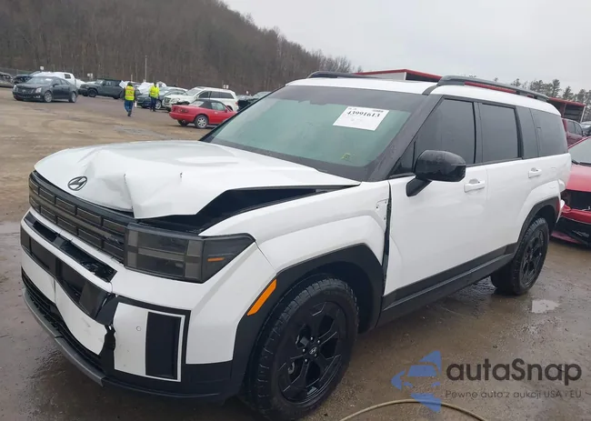 5NMP3DGL3SH081186: 43991613