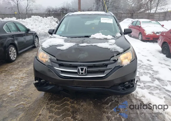 5J6RM4H79EL017206: 43992874