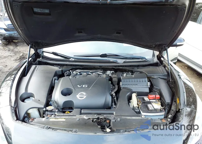 1N4AA5AP1EC447913: 43992878