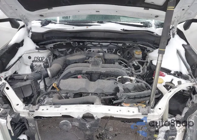 JF2SJAEC7HH804213: 43992957