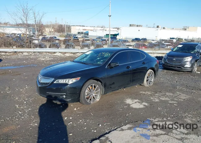 19UUB3F71FA010283: 43993239