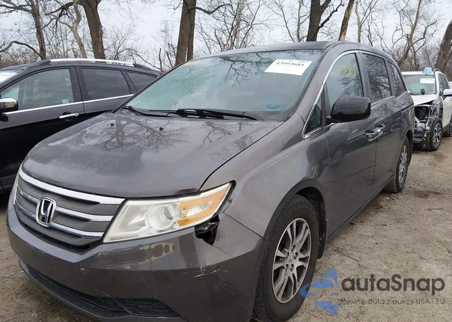 5FNRL5H66DB054401: 43993681