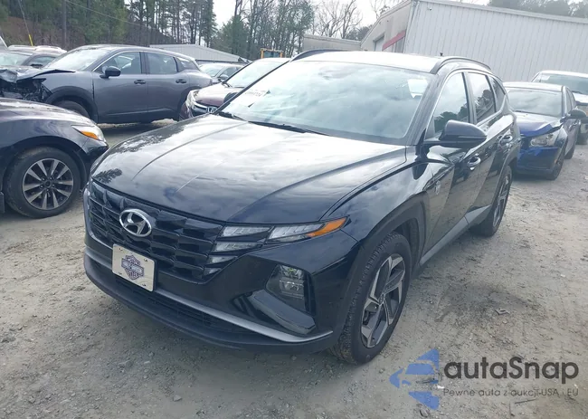 5NMJF3AE6PH205539: 43993724