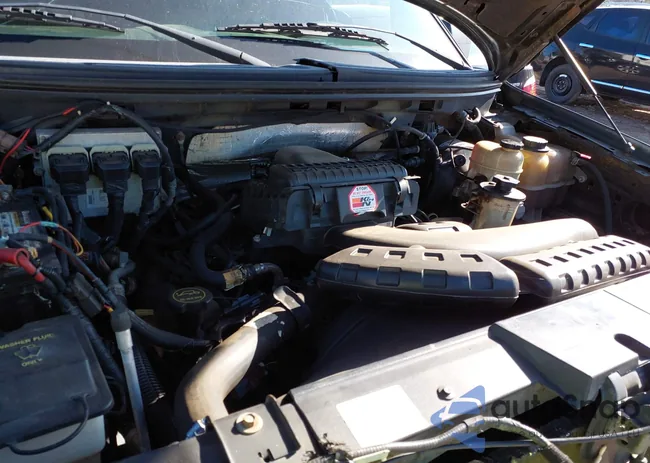 1FTPW14V78FA88319: 43994075