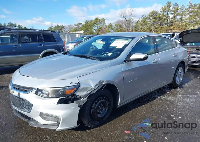 1G1ZD5ST5JF124773: 43994238