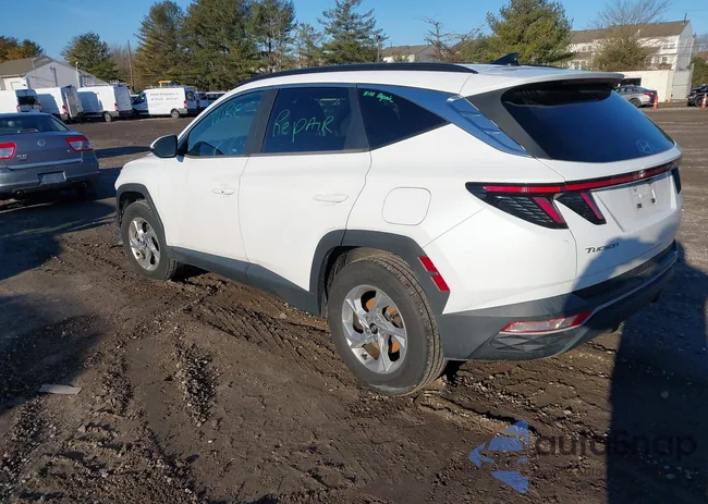 5NMJBCAEXNH031242: 43993539