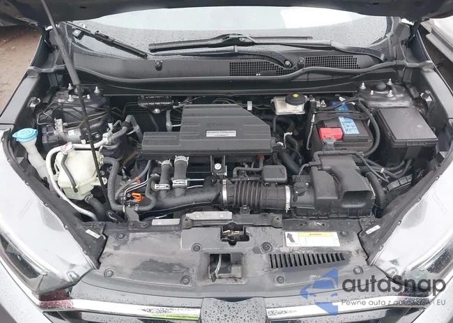 5J6RW2H52ML019388: 43994751