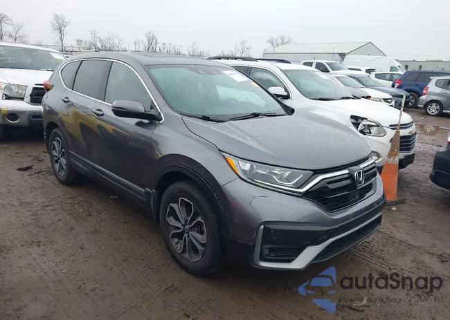 5J6RW2H52ML019388: 43994751