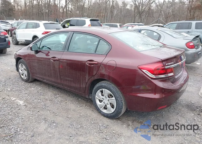 19XFB2F52EE262054: 43994782