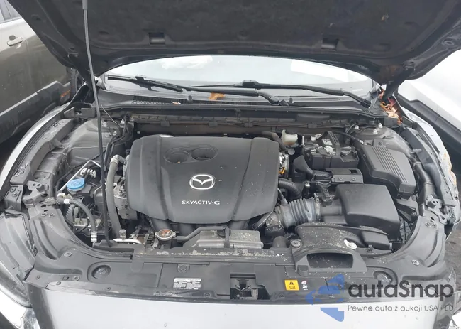 JM1GL1VM4L1516660: 43994805