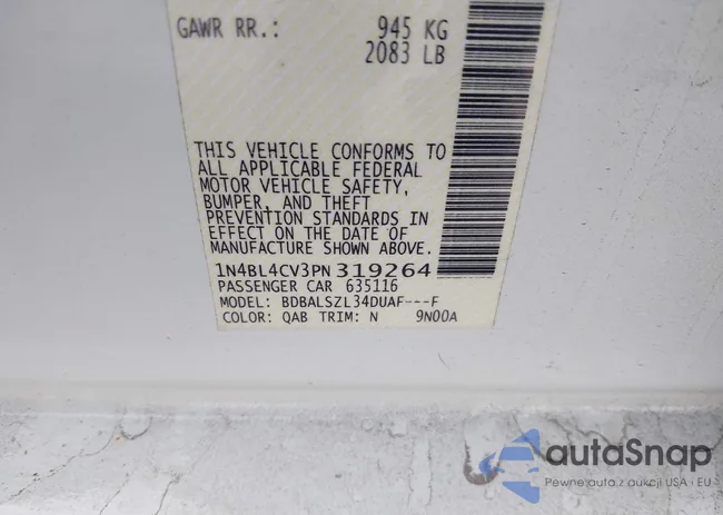 1N4BL4CV3PN319264: 43994827