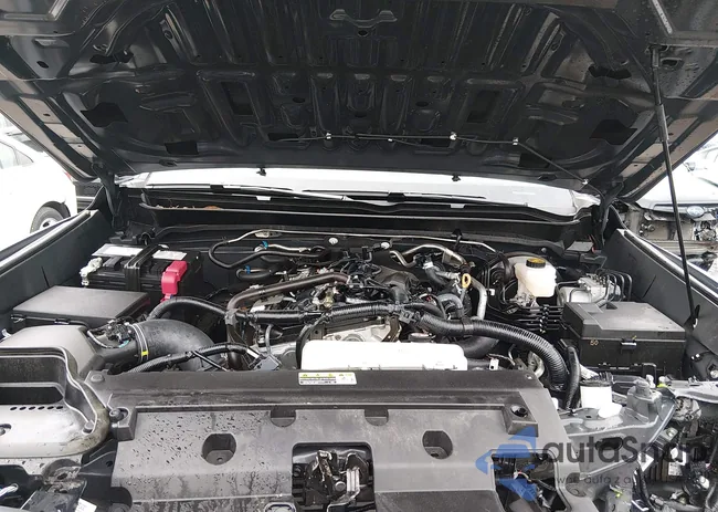 3TYLD5KNXST012040: 43994831