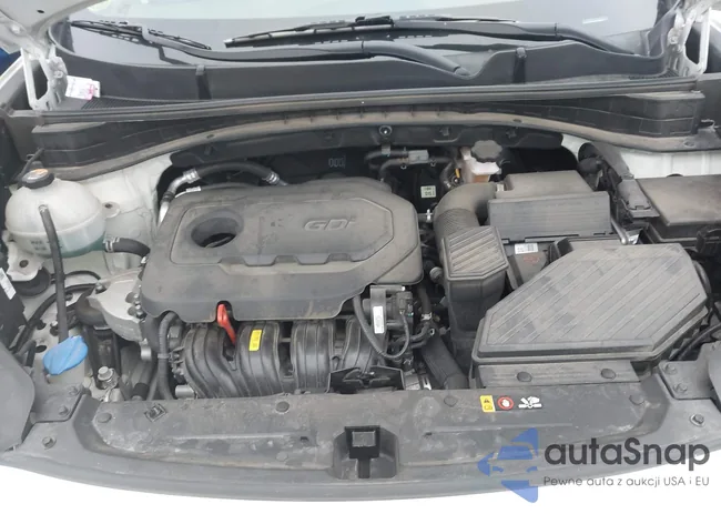 KNDPN3AC3J7474804: 43994915