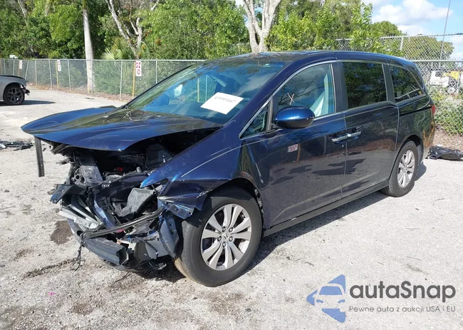 5FNRL5H43EB043517: 43995107