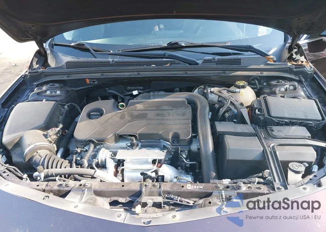 1G1ZD5ST6LF019646: 43994341