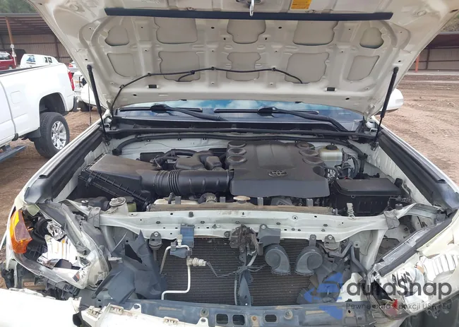 JTEBU5JR0D5128606: 43994513