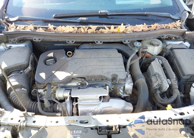 1G1BC5SMXK7116855: 43994555