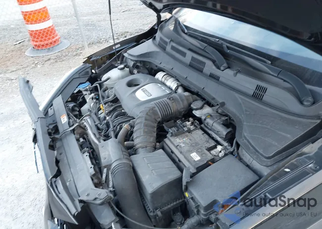 KM8K3CA52LU491028: 43995778