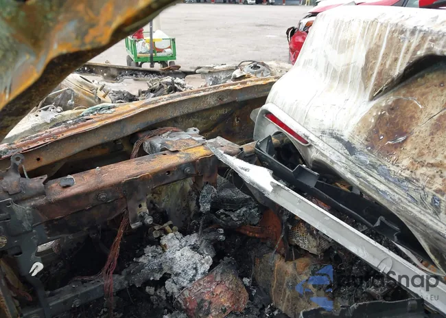 1FA6P8AM1G5326396: 43995833