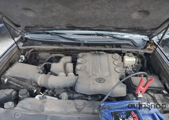 JTEBU5JR3K5664866: 43996187