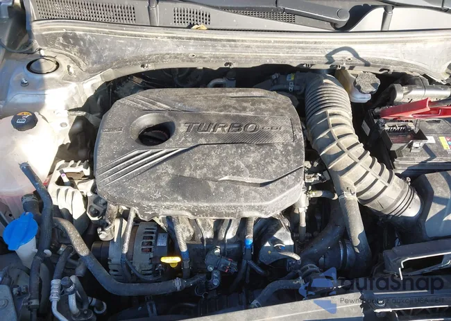 3KPF44AC3PE589710: 43995390