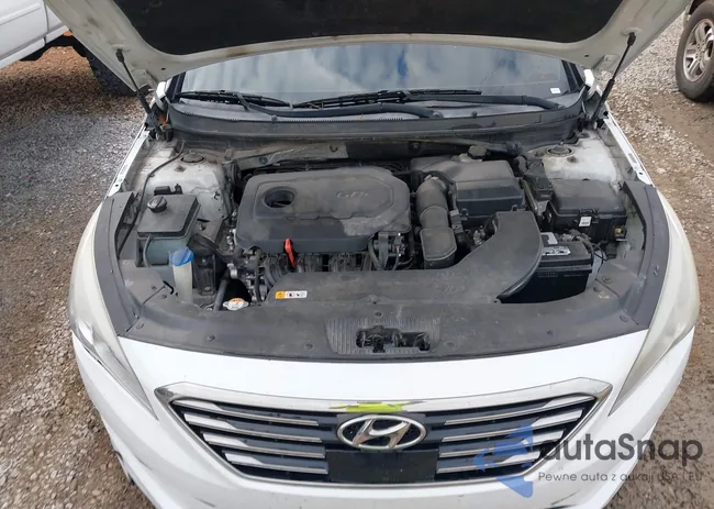 5NPE34AF7FH038344: 43995571