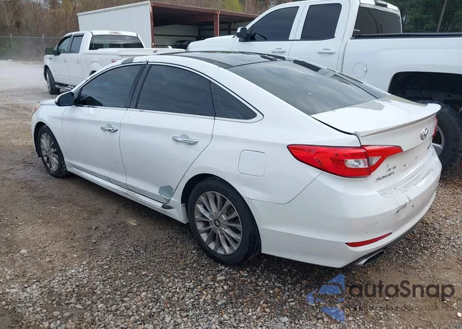 5NPE34AF7FH038344: 43995571