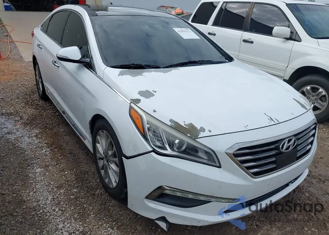 5NPE34AF7FH038344: 43995571