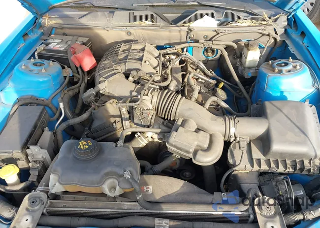 1ZVBP8AM8E5258360: 43996715